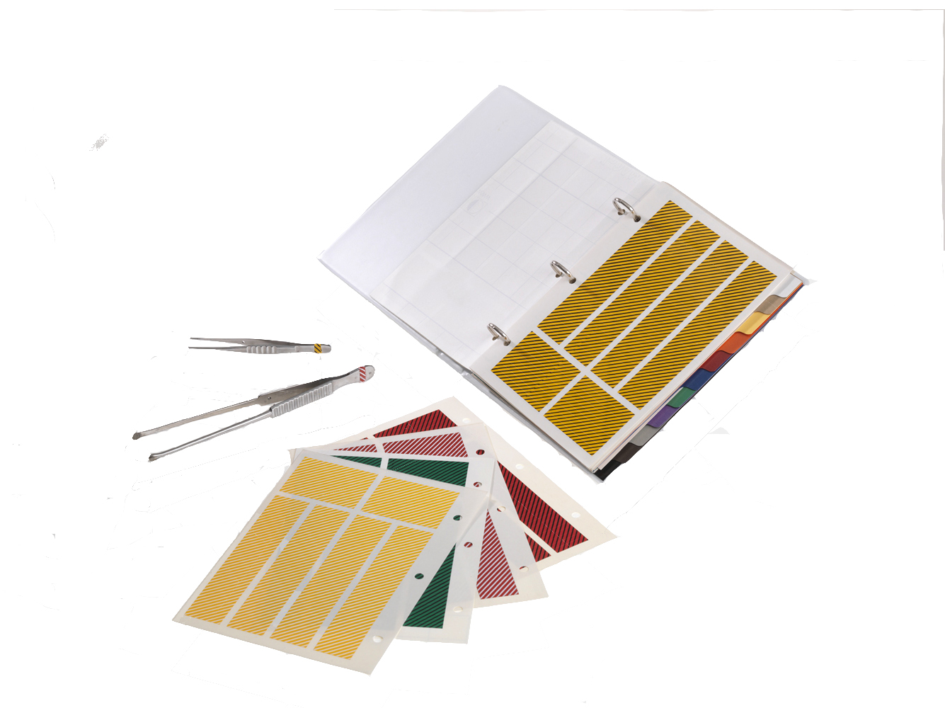 Ring Binder with Sheet of Plain Colours  Image