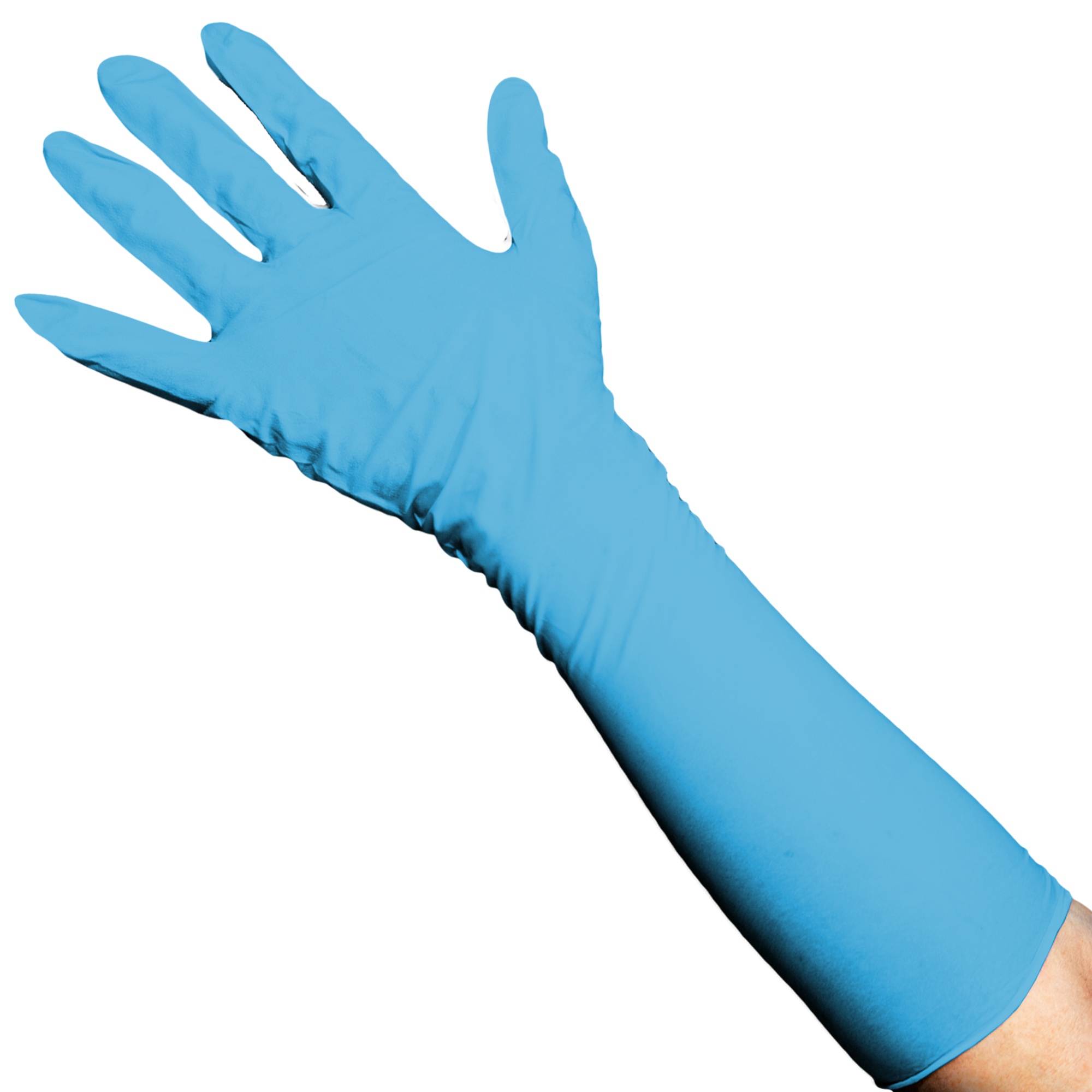 Nitrile Gloves Image
